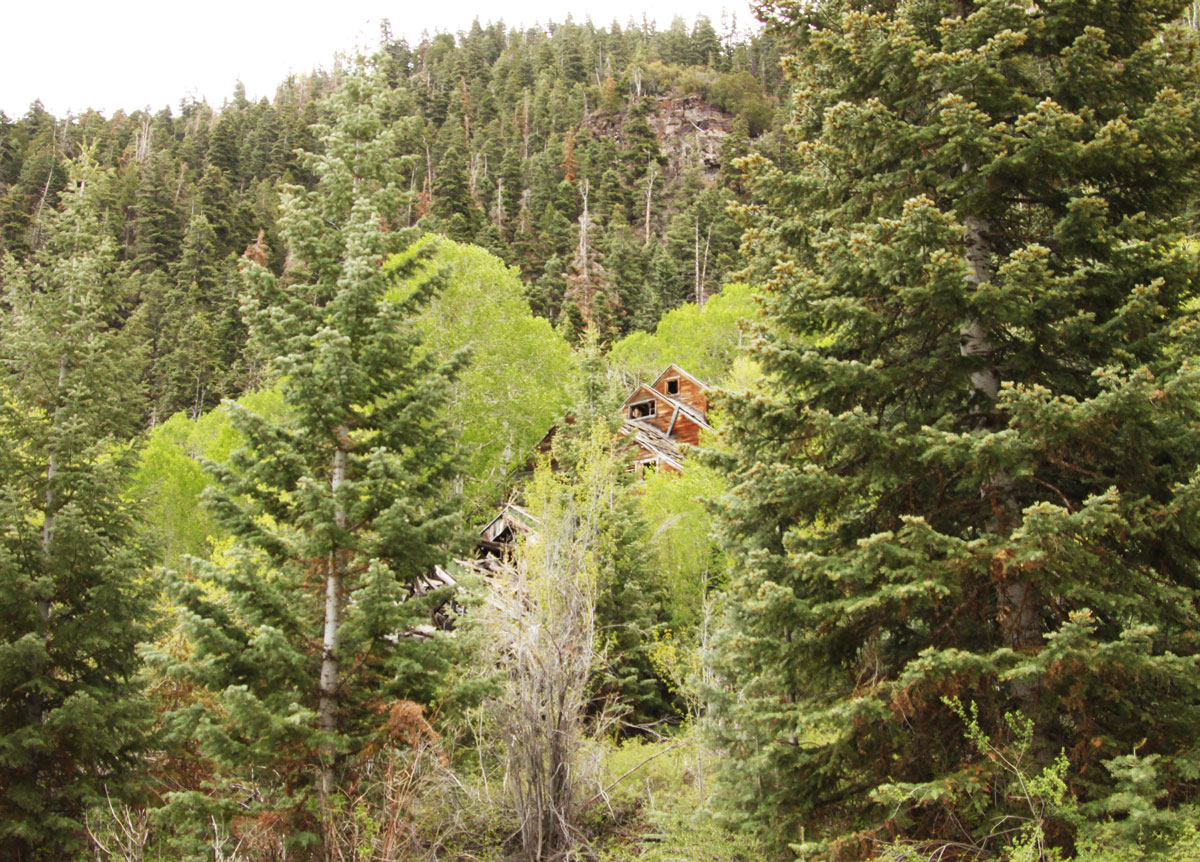 Miner’s-Park1 Miner's Park on the Paiute Trails