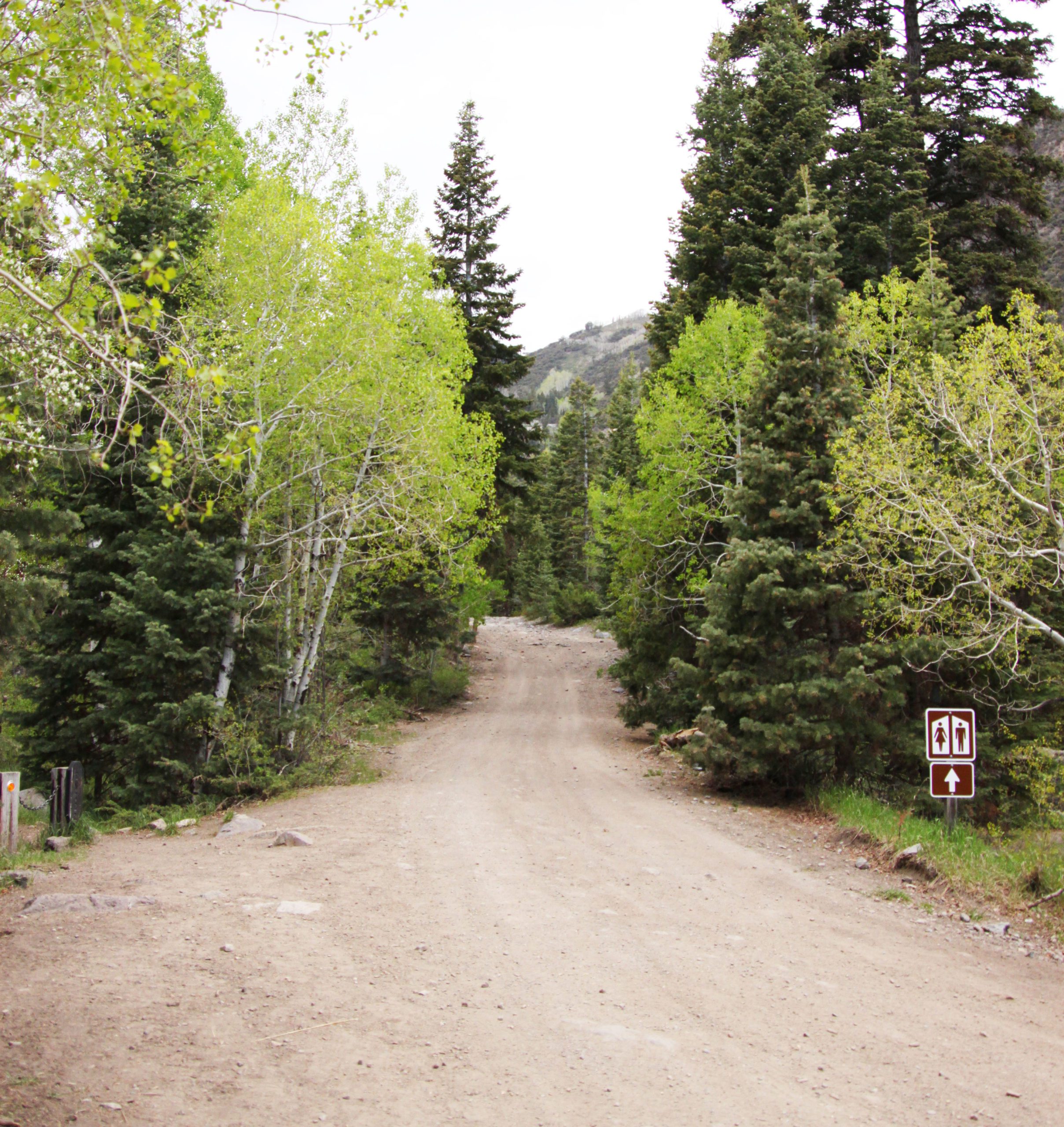 trail Paiute Trails