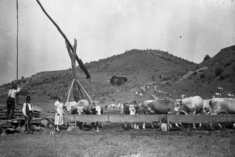 History-of-Paiute-Trails-2 History of the Paiute Trails